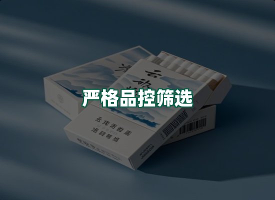 核心优势